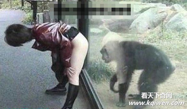 癫狂女人雷人图集 让哥hold不住(超级组图)